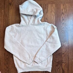 Aritzia Cozy Fleece Perfect Hoodie